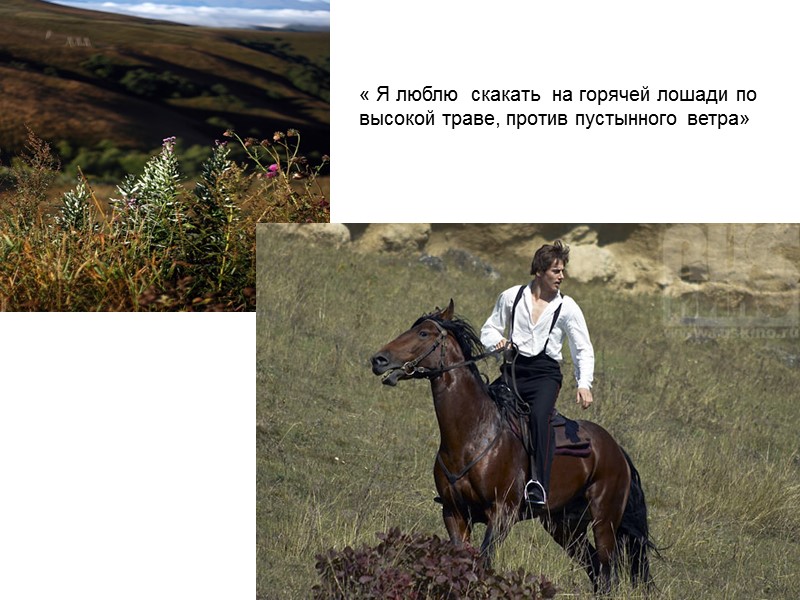 « Я люблю  скакать  на горячей лошади по высокой траве, против пустынного